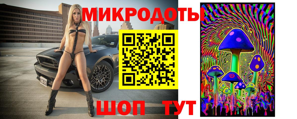 Галлюциногенные грибы Psilocybe Кимры