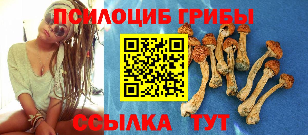 Псилоцибиновые грибы GOLDEN TEACHER  Вход с VPN  магазин продажи наркотиков  Кимры 