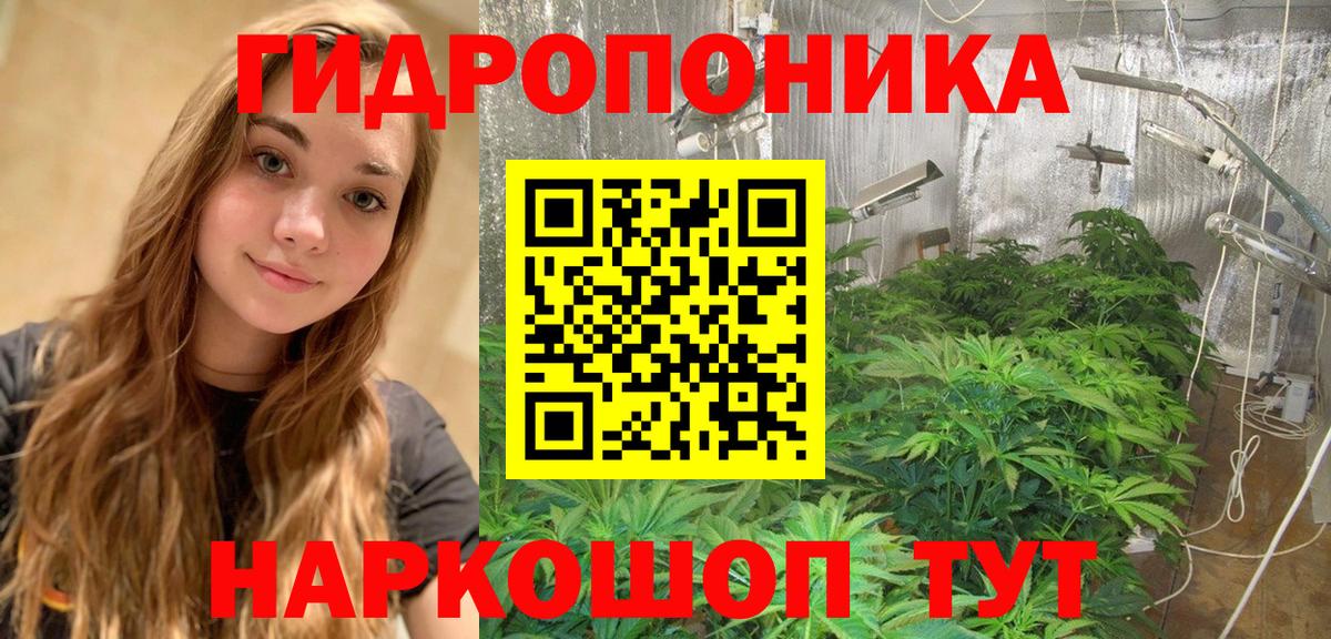 Шишки марихуана OG Kush  Конопля VHQ  Кимры  Конопля Amnesia  Конопля White Widow  Вход с VPN 